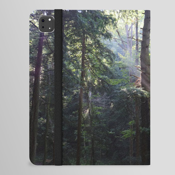 Hemlock Forest iPad Folio Case