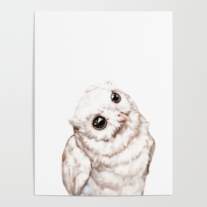 Baby Snowy Owl Poster