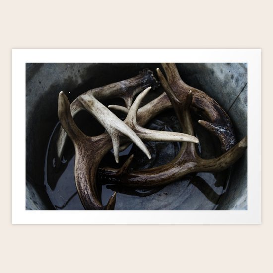 Antlers Art Print