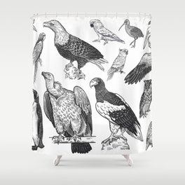 Birds of wildlife set. Eagles, owls, parrots, pelican, penguins, ibis, puffin isolated on white background. Tropical, exotic, water birds. Black white illustration. Vintage. Vintage. Realistic graphics Shower Curtain