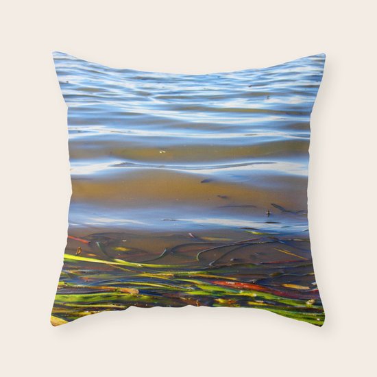Lagoon Throw Pillow