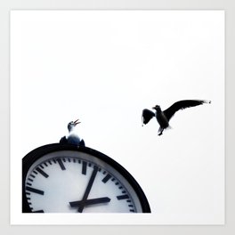 Two seagulls and street clock on a white background Art Print | Birds, White, Animal, Outdoors, Whitebackground, Animaltheme, Seagullbirds, Flight, City, Photo 