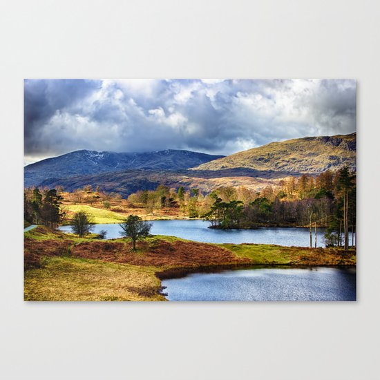 Tarn Hows Canvas Print