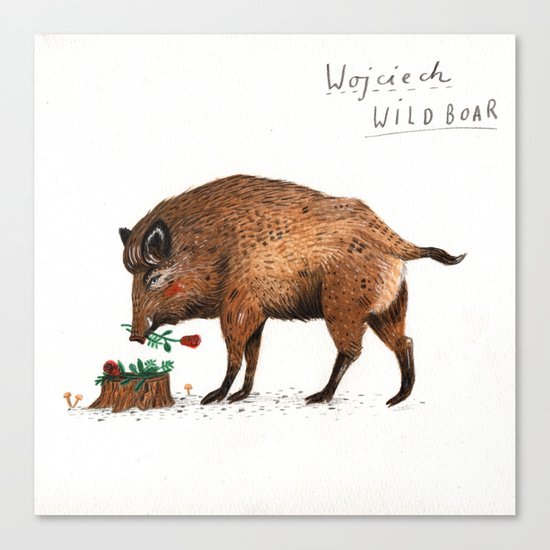Wojciech Wild Boar Canvas Print