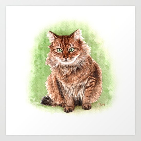 Somali cat portrait Art Print