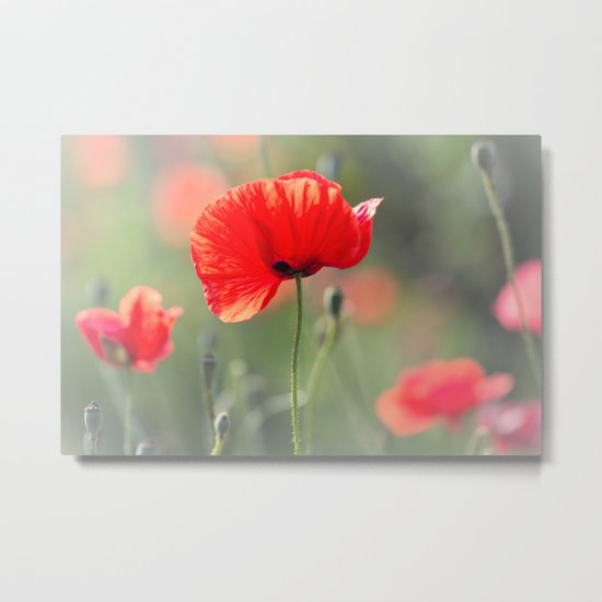 She definitely seduced me... Metal Print