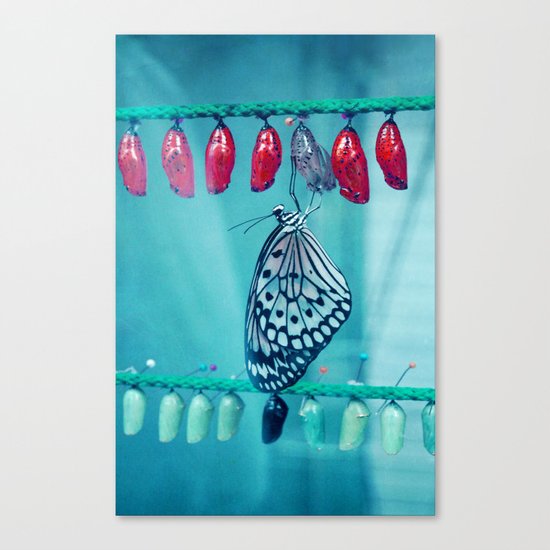by nature Canvas Print