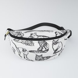 Cats! Fanny Pack