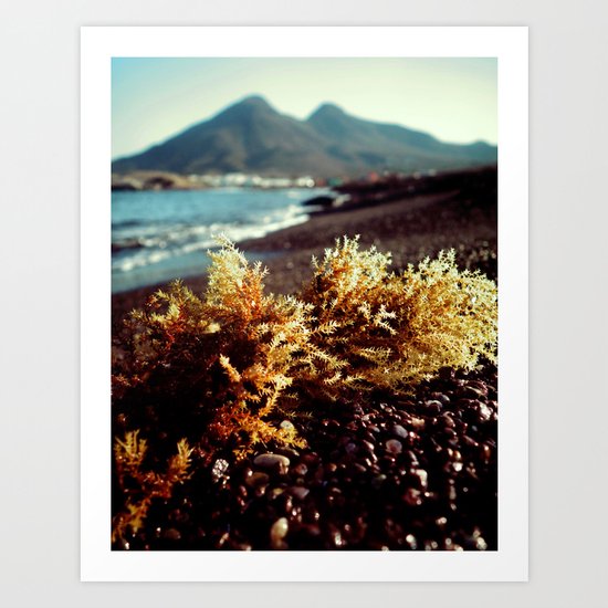 mediterranean diet Art Print