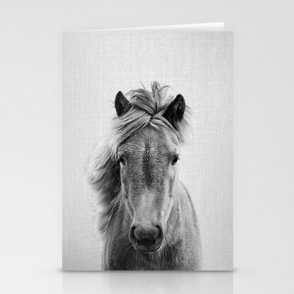Wild Horse - Black & White Stationery Cards