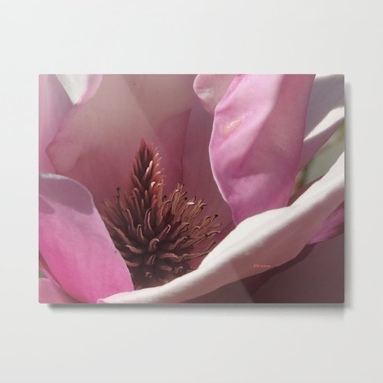 Magnolia Blossom Heart Metal Print