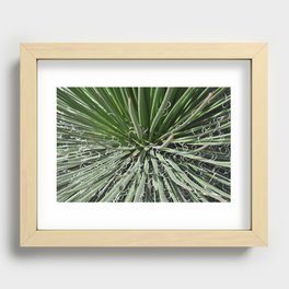 Desert Plant Recessed Framed Print