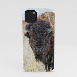Bison / Buffalo - Staring Contest iPhone Case