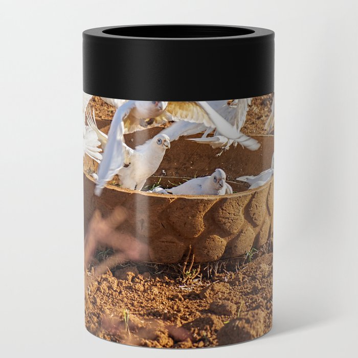 Flock of corella birds. Can Cooler