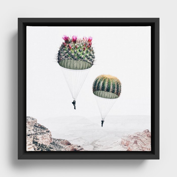Framed Canvas