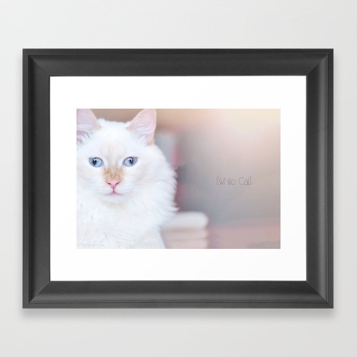 White Cat Framed Art Print