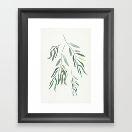 Eucalyptus Branches II Framed Art Print