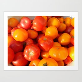 The food in the garden of fruits and vegetables Art Print