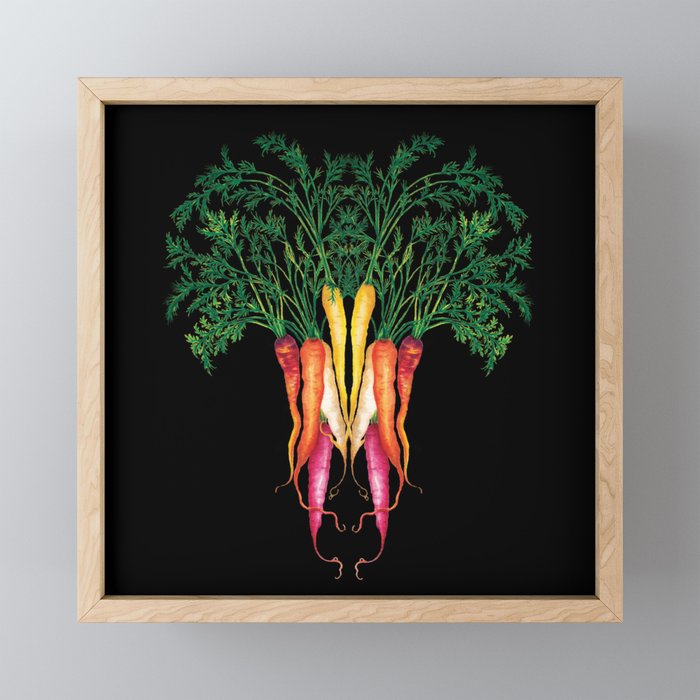 Food illustration - A beautiful bunch of carrots  Framed Mini Art Print