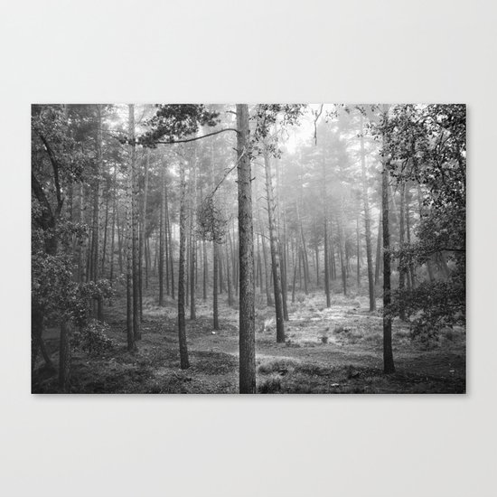 "Rectilineum". BW. Secret places. Foggy dreams. Canvas Print
