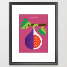 Fruit: Fig Framed Art Print