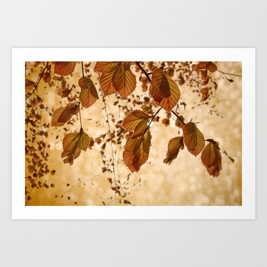 Photo Synthesis Art Print