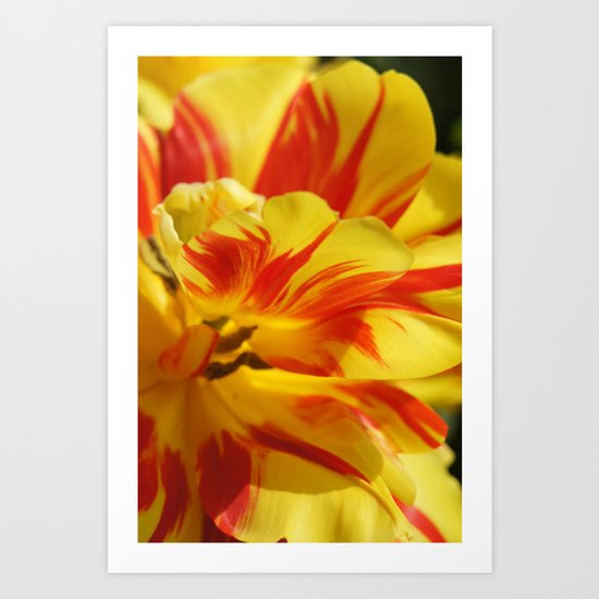 Flora Art Print