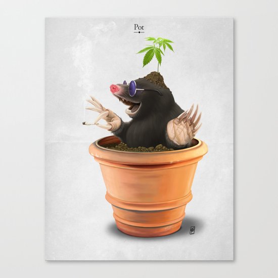 Pot Canvas Print