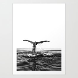 Whale Tail Art Prints For Any Decor Style Society6