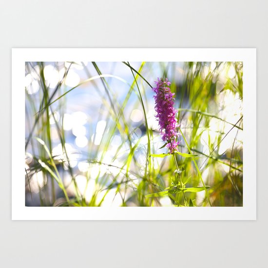 Pink Flower At the Beach Art Print