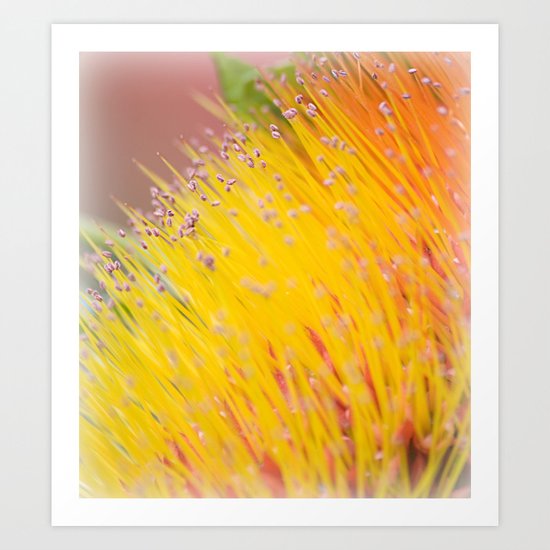 Through a Field of Yellow Art Print