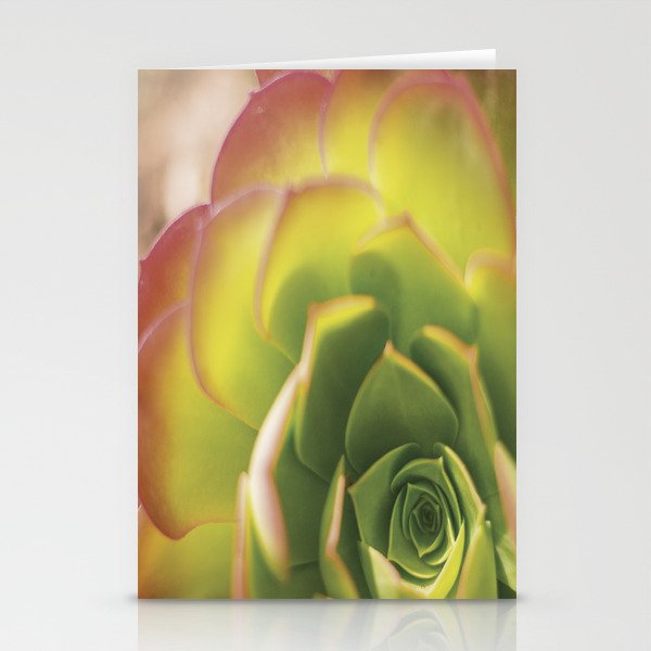 Succulent Succulents 1 Stationery Cards