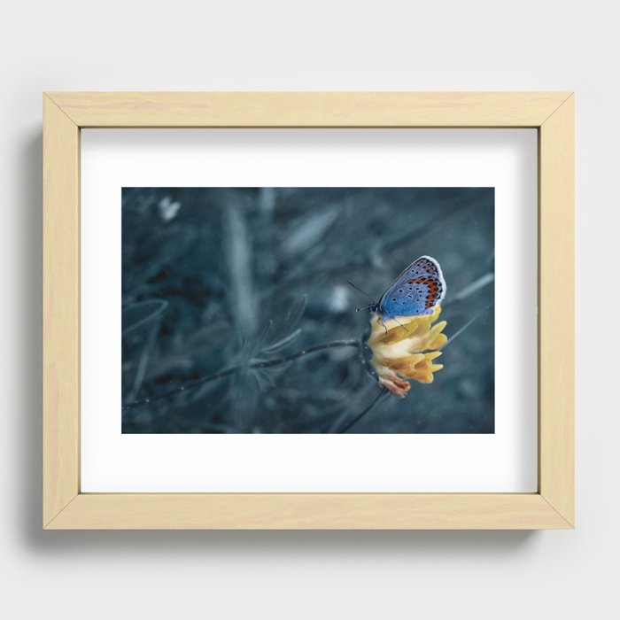 blue, blue butterfly Recessed Framed Print