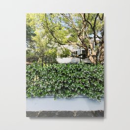 Charleston Star Jasmine Metal Print | Charleston, Botanical, Southcarolina, Summer, Starjasmine, Floral, Flowers, Photo, Fineartphotography 