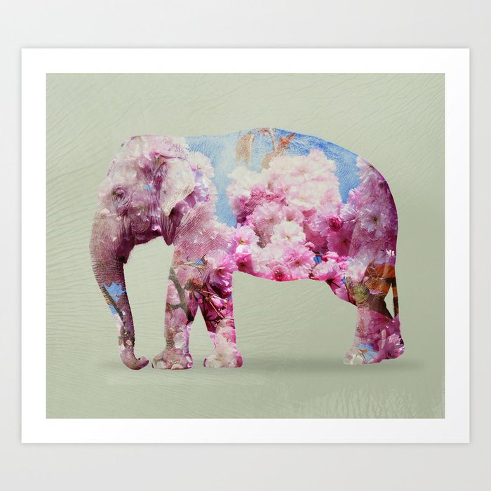 Cherry blossom Elephant Art Print