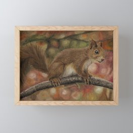 Red Squirrel Framed Mini Art Print