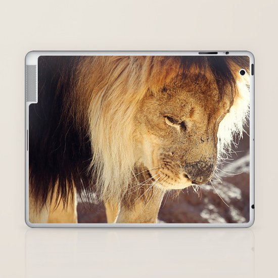 Lion Laptop & iPad Skin