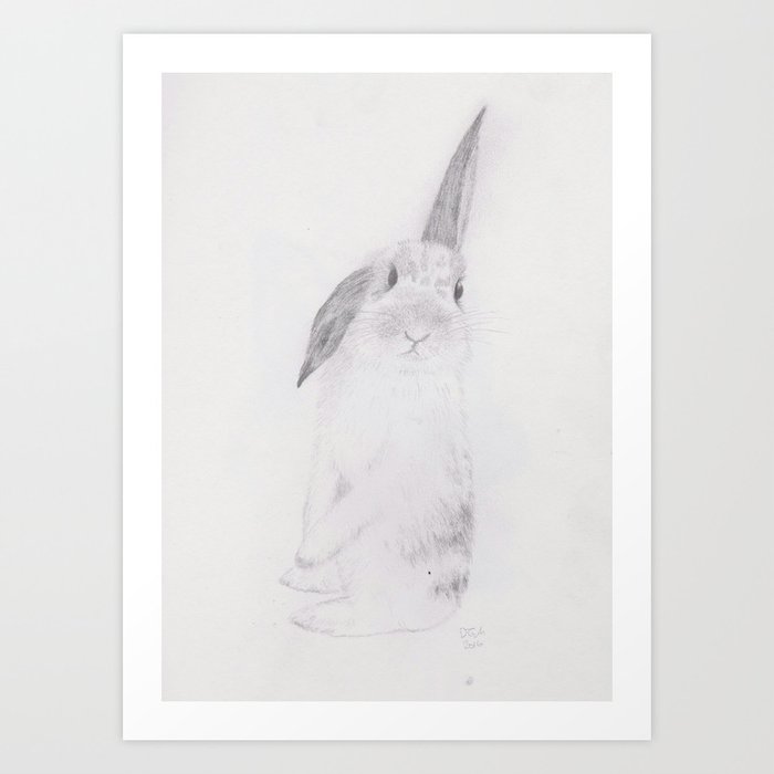 Rabbit pencil drawing Art Print by Crumbledoodle | Society6