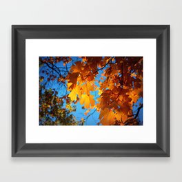 Autumn Glow Framed Art Print