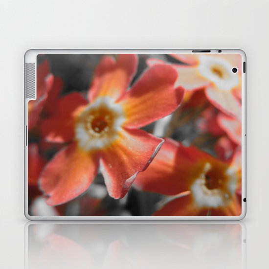 Orange Laptop & iPad Skin