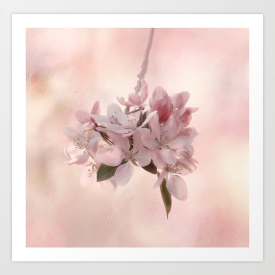 Blossom Treasure Art Print