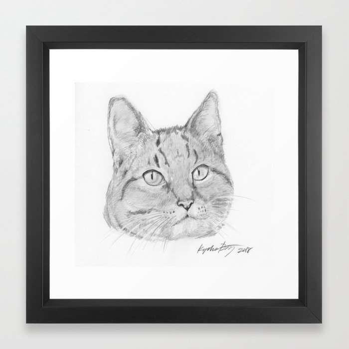 Cat Face Realistic Pencil Sketch Drawing Framed Art Print By