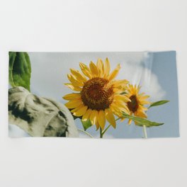 564 Sunflower Beach Towel
