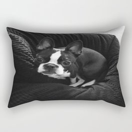 Boston Terrier. Rectangular Pillow