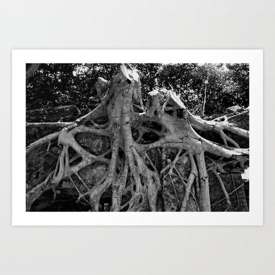 Raíces 2 Art Print