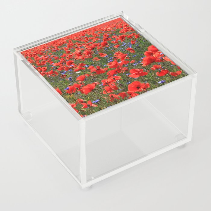 A Meadow of Red Poppies Acrylic Box