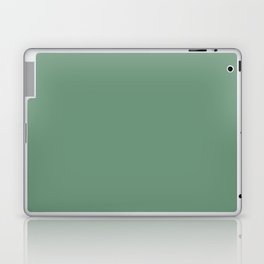 Simple Sage Green Solid Laptop Skin