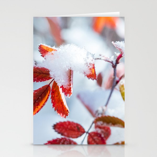 Snowy Fall Leaves // Frozen Fall Colors Stationery Cards