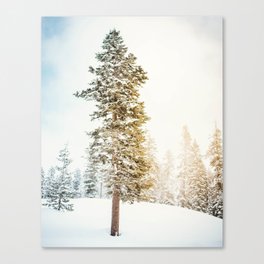 Snowy Tree | Winter Snow Forest Nature Photography Canvas Print