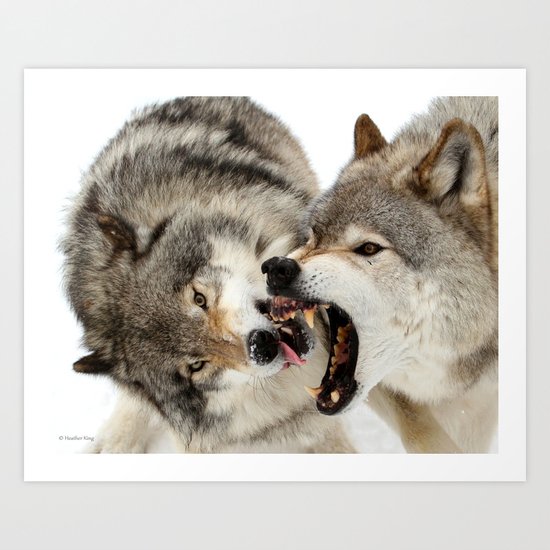 Laying down the law Art Print